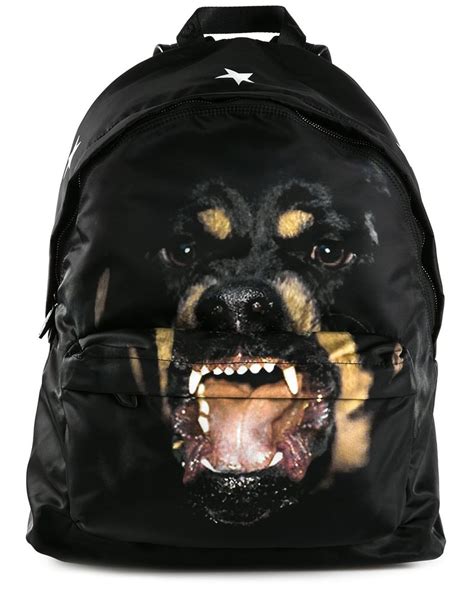 givenchy pet heren|Givenchy Rottweiler.